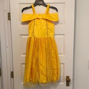 Princess Belle Costume